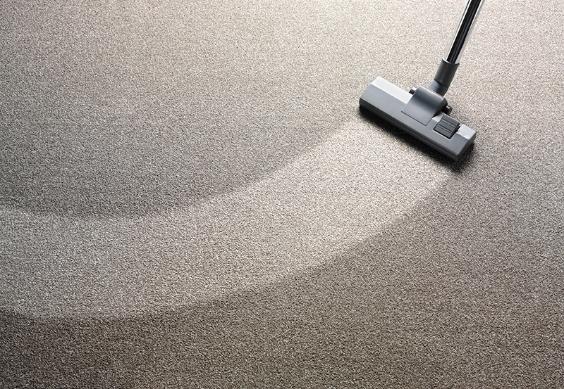 Rug Cleaning Service in Chelmsford Essex